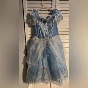 Cinderella Costume